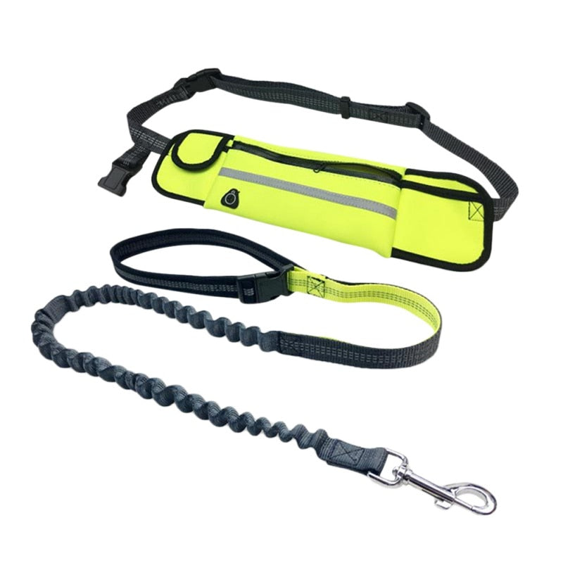 Hands Free Reflective Dog Leashes