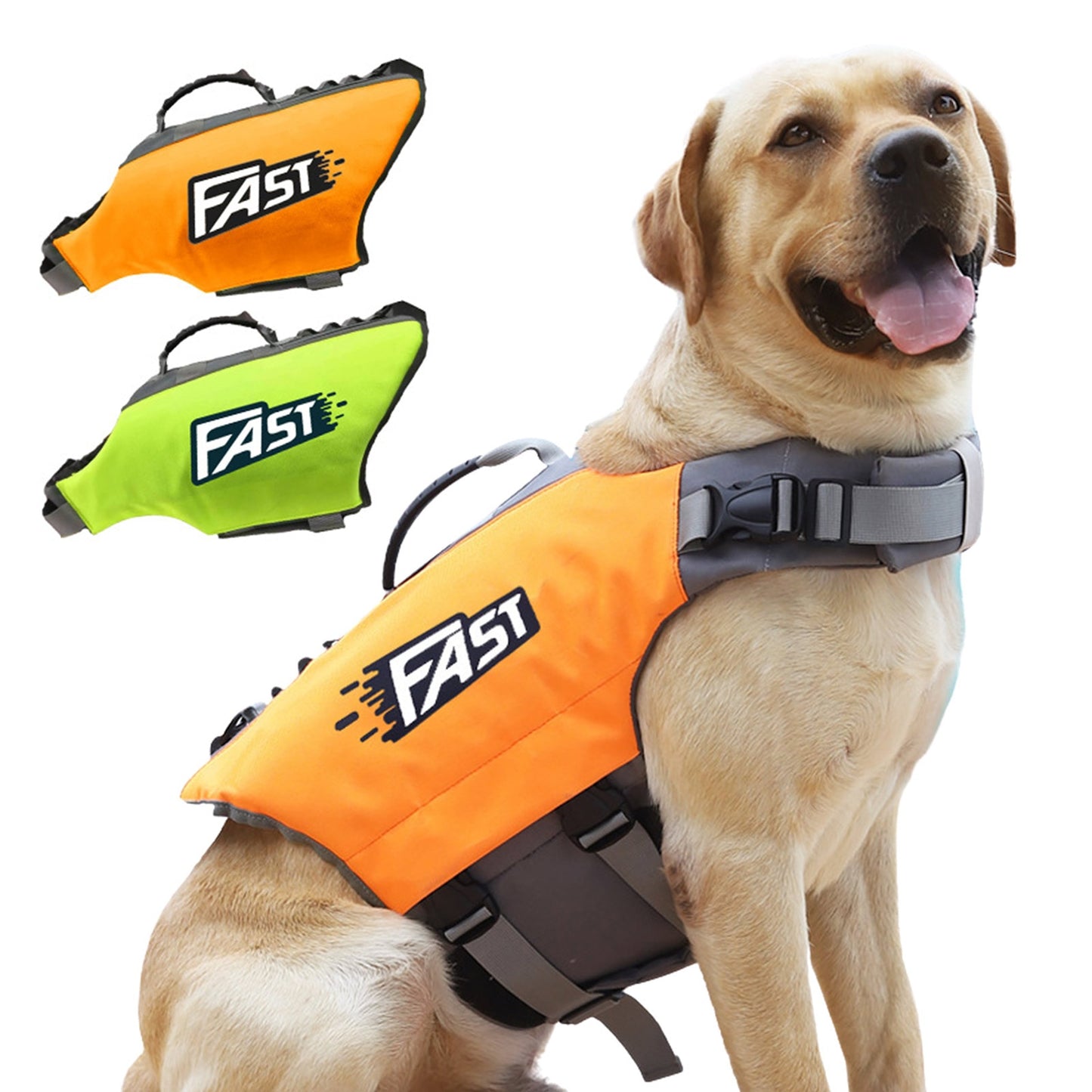 Splash & Play Canine Life Vest