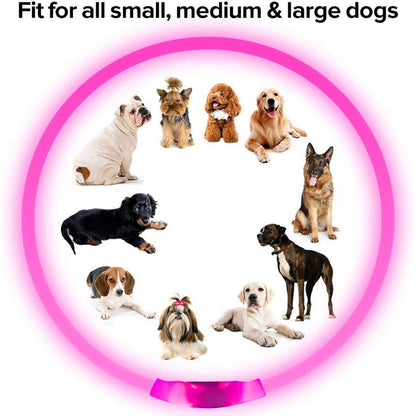 Led Night Safety Flashing Glow Collar