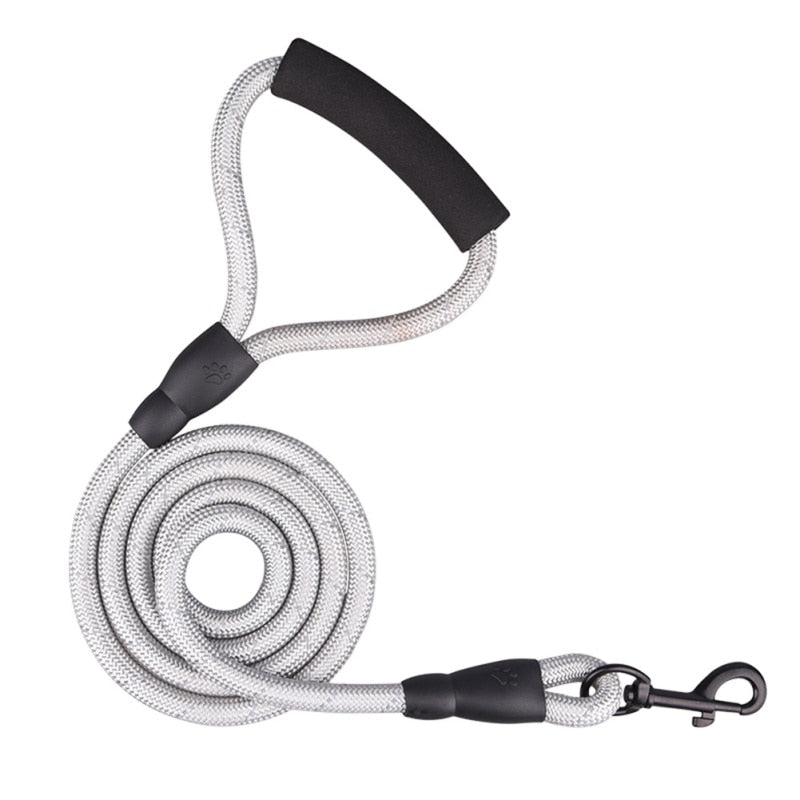 Braided Nylon Dual (2) Dog Leash