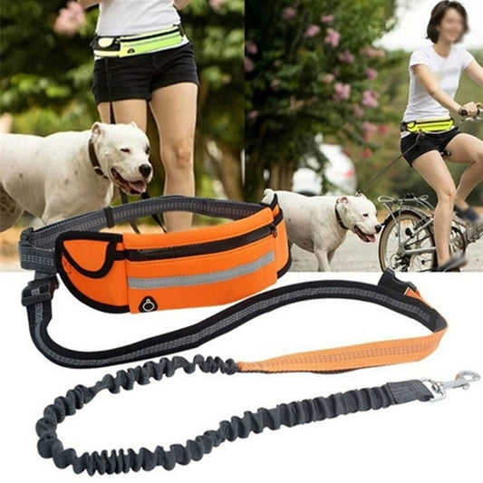 Hands Free Reflective Dog Leashes