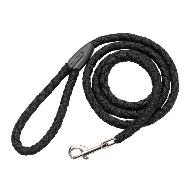 Braided Nylon Dual (2) Dog Leash