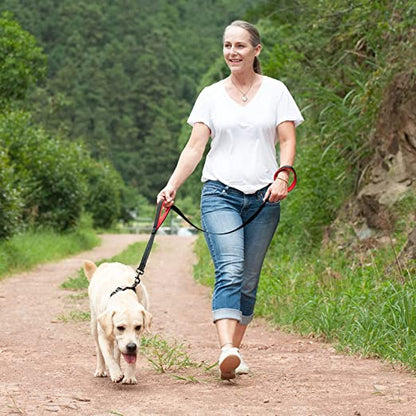 Dual Handle Dog Leash