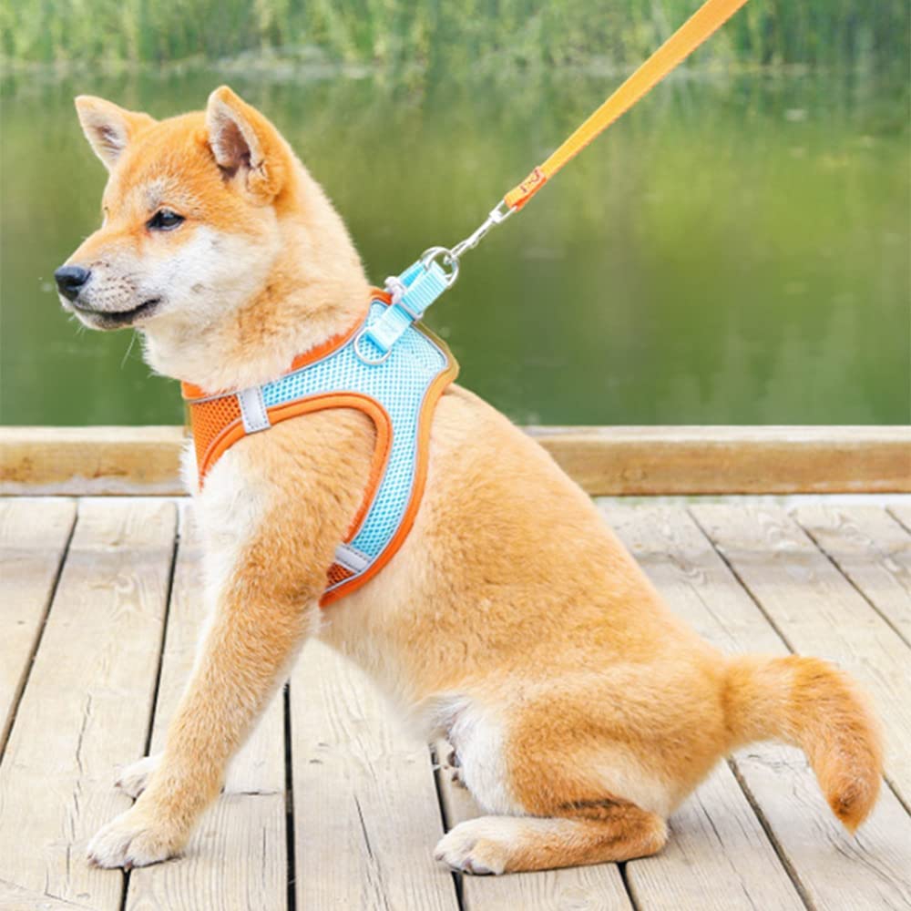 Adjustable Comfort Puppy Harness