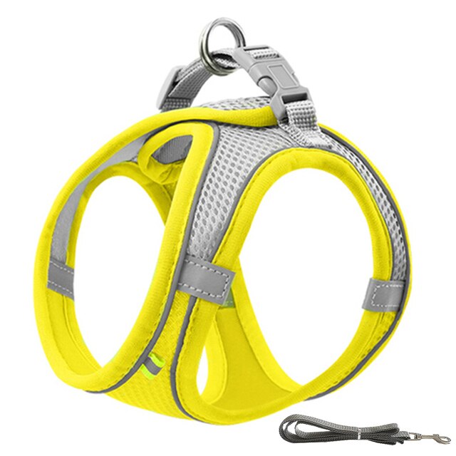 Adventure Pup - Adjustable Outdoor Walking Dog Harness - Comfort & Security for up to 22lbs
