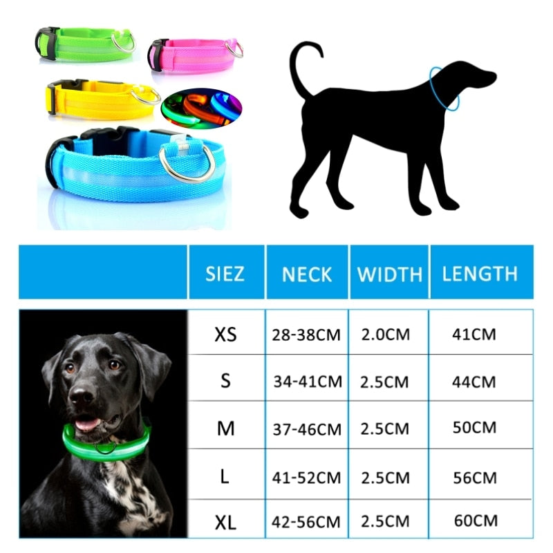Anti-lost Led Light Collar For Dogs