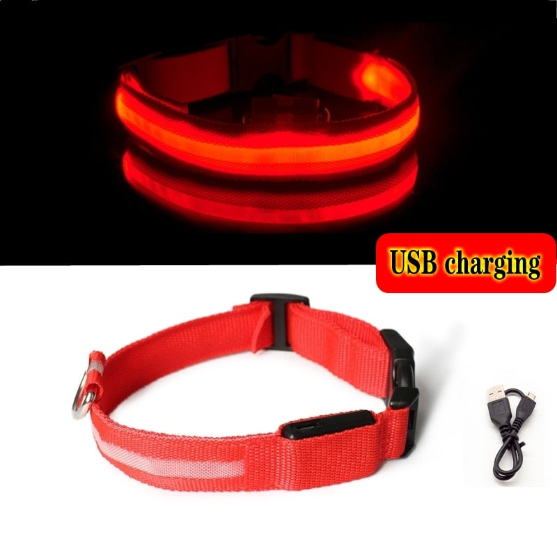 Anti-lost Led Light Collar For Dogs