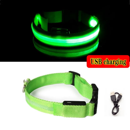 Anti-lost Led Light Collar For Dogs