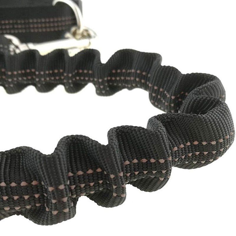 Hands Free Reflective Dog Leashes