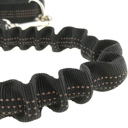 Hands Free Reflective Dog Leashes