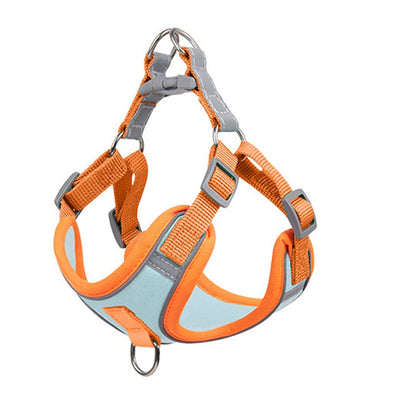 Adjustable Harness For Small Dogs | Matching Leashes Available