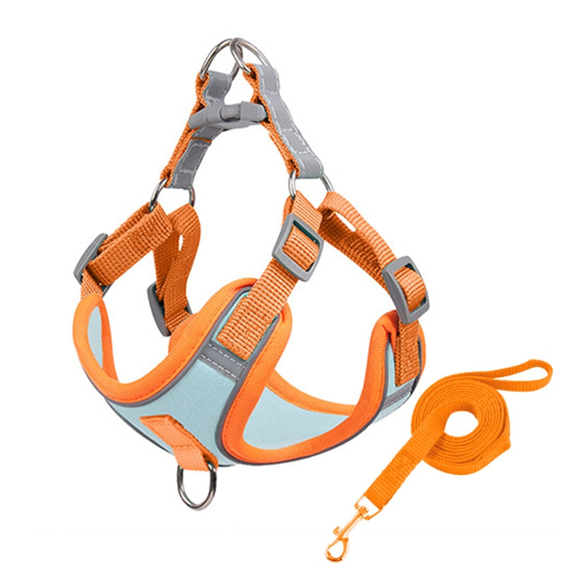 Adjustable Harness For Small Dogs | Matching Leashes Available