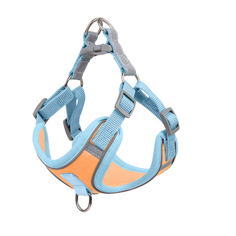 Adjustable Harness For Small Dogs | Matching Leashes Available