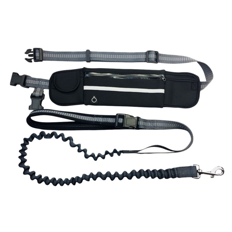 Hands Free Reflective Dog Leashes