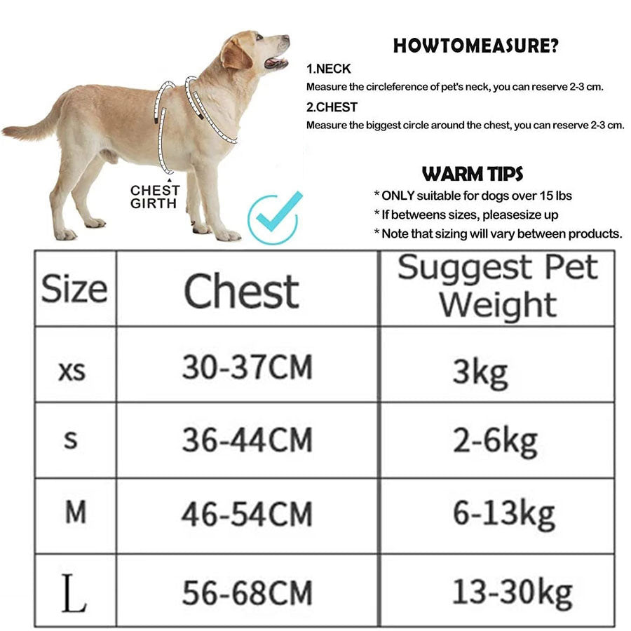 Reflective Pet Dog Harness And Leash Set