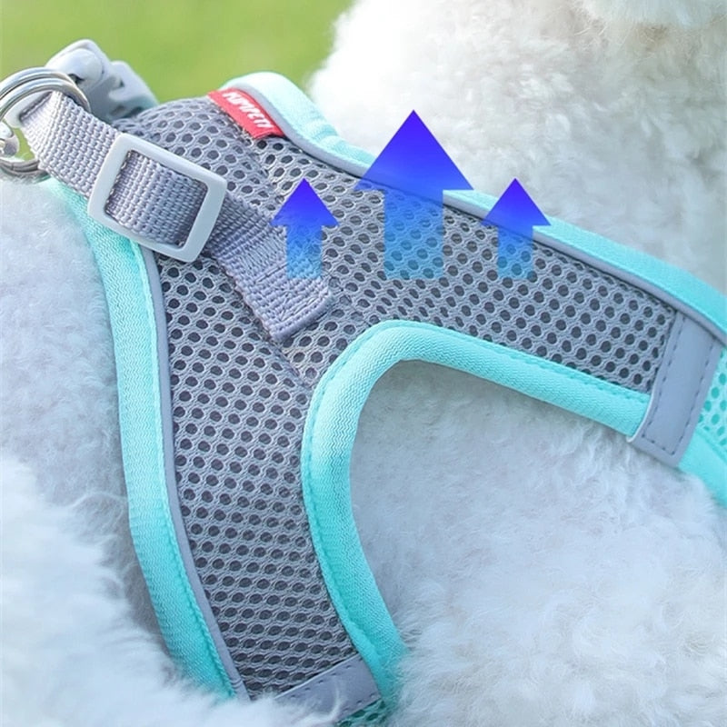 Adventure Pup - Adjustable Outdoor Walking Dog Harness - Comfort & Security for up to 22lbs