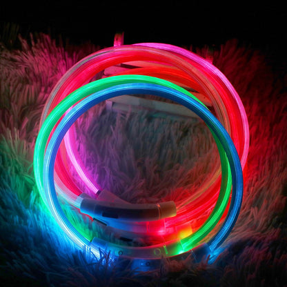 Led Night Safety Flashing Glow Collar