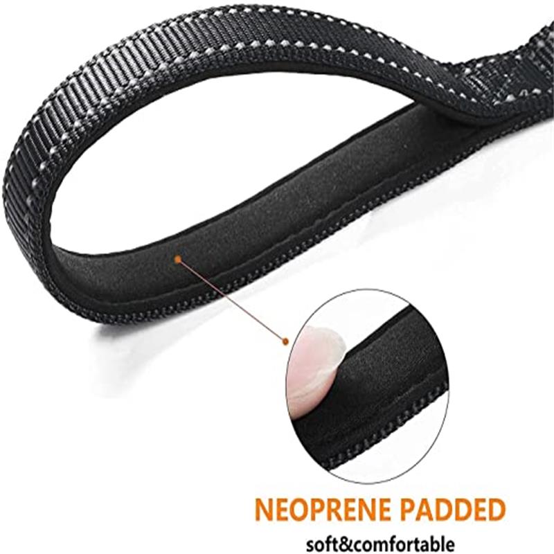 Dual Handle Dog Leash