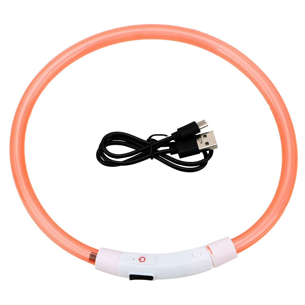 Led Night Safety Flashing Glow Collar
