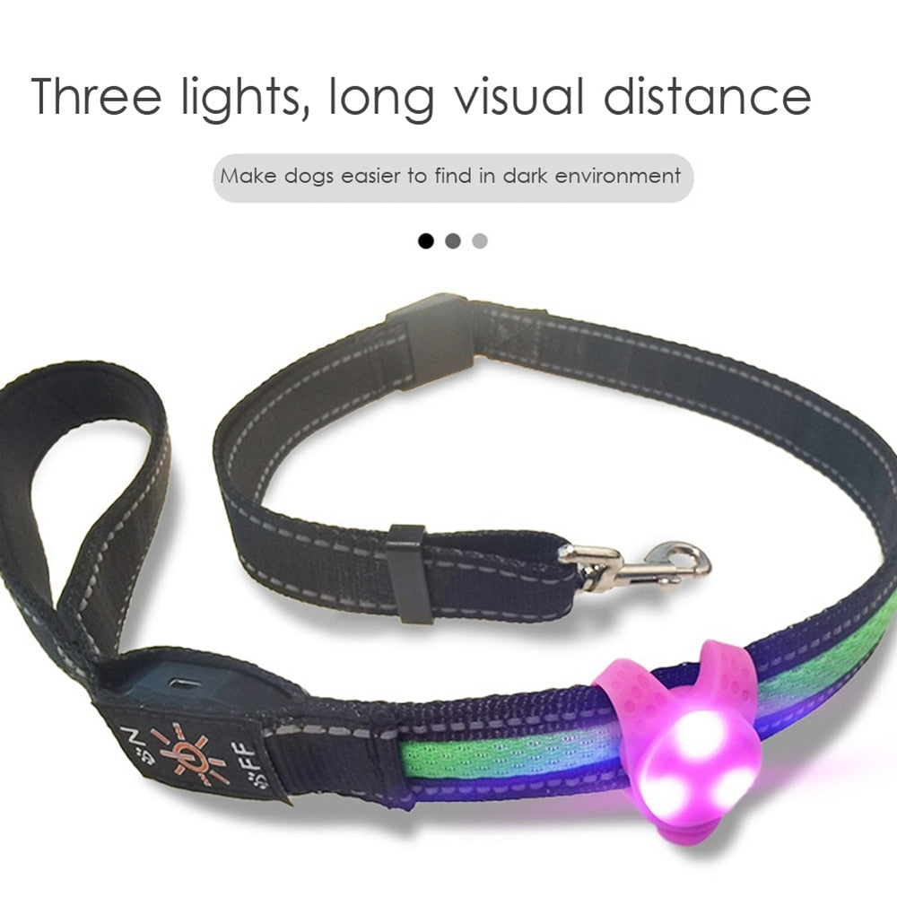 Flashing Glow Light - Blinking LED Collar Attachment for Enhanced Visibility