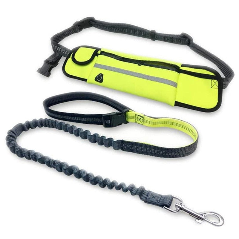 Hands Free Reflective Dog Leashes