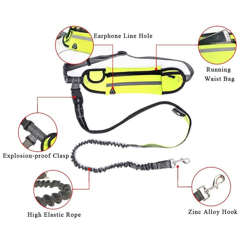 Hands Free Reflective Dog Leashes