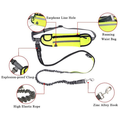 Hands Free Reflective Dog Leashes