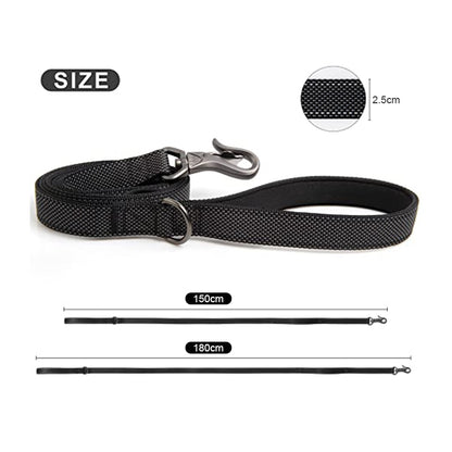 Dual Handle Dog Leash