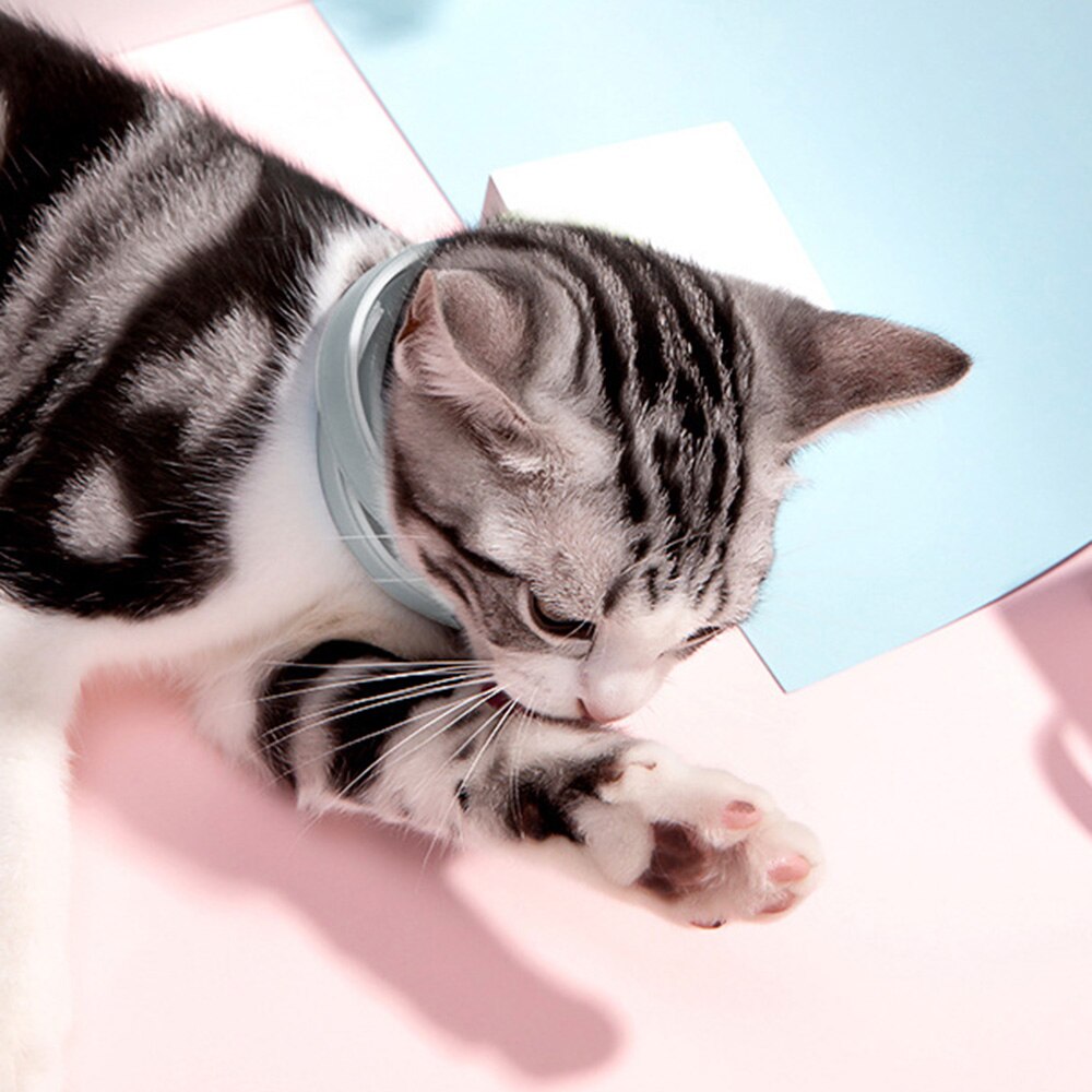Pet Flea And Tick Collar For Dog