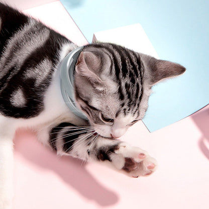 Pet Flea And Tick Collar For Dog