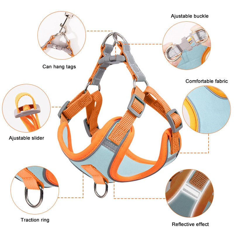 Adjustable Harness For Small Dogs | Matching Leashes Available