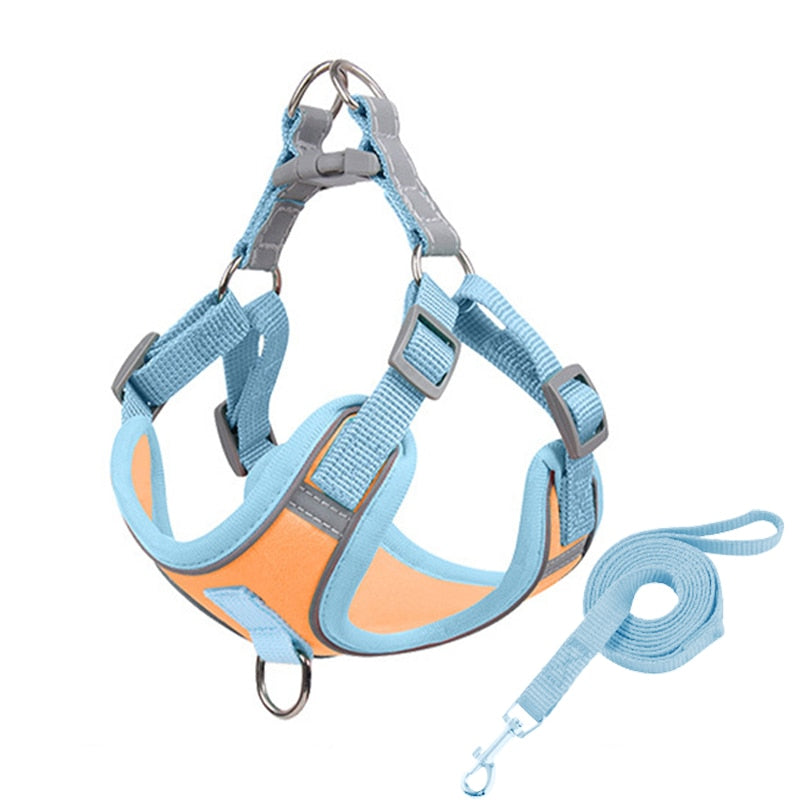 Adjustable Harness For Small Dogs | Matching Leashes Available