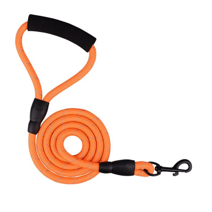Braided Nylon Dual (2) Dog Leash