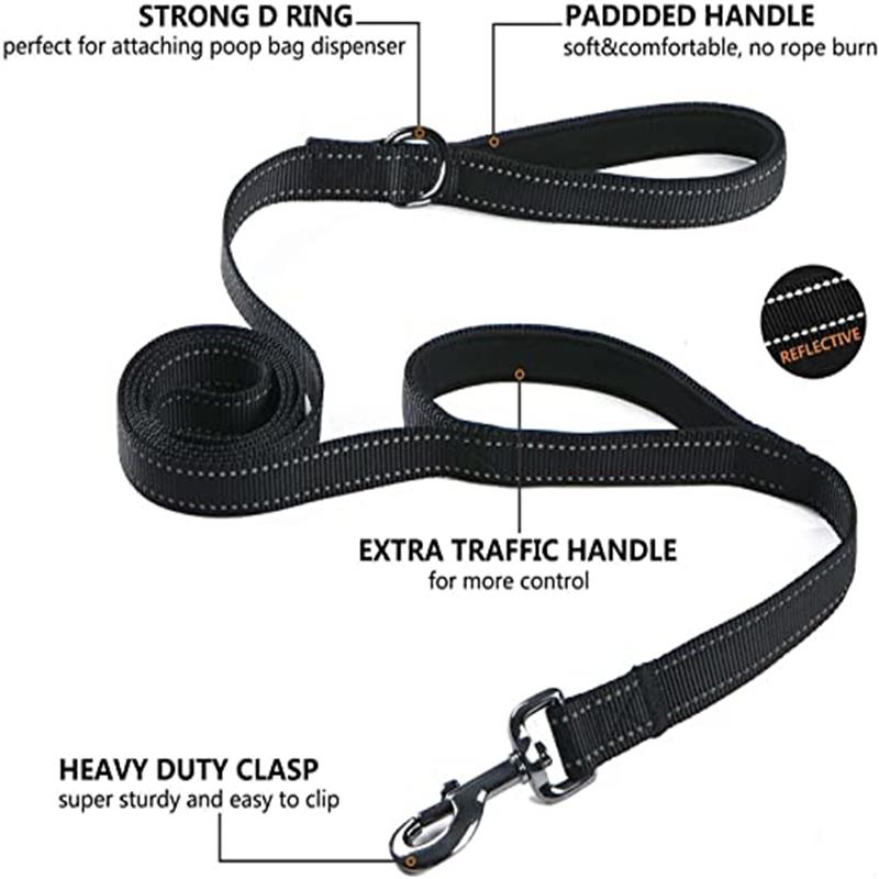 Dual Handle Dog Leash