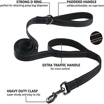Dual Handle Dog Leash