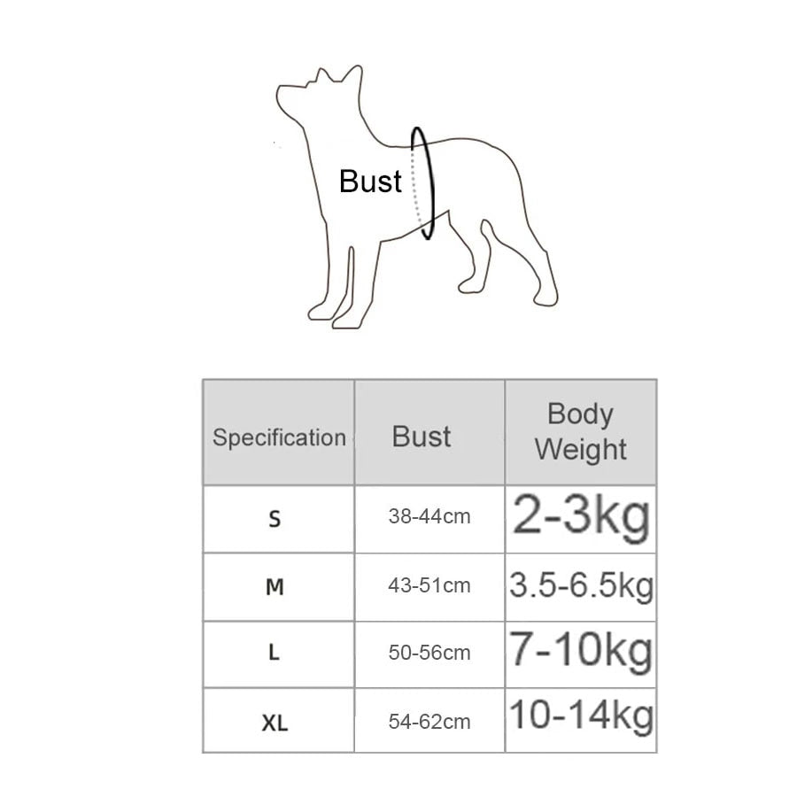 Reflect Light Dog Harness And Leash set