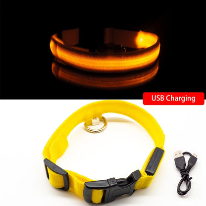 Anti-lost Led Light Collar For Dogs