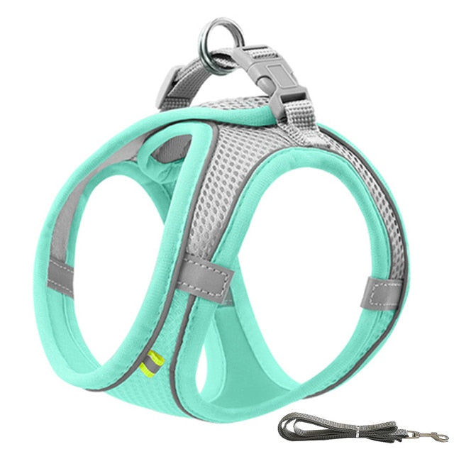 Adventure Pup - Adjustable Outdoor Walking Dog Harness - Comfort & Security for up to 22lbs
