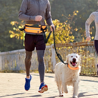 Hands Free Dog Leash