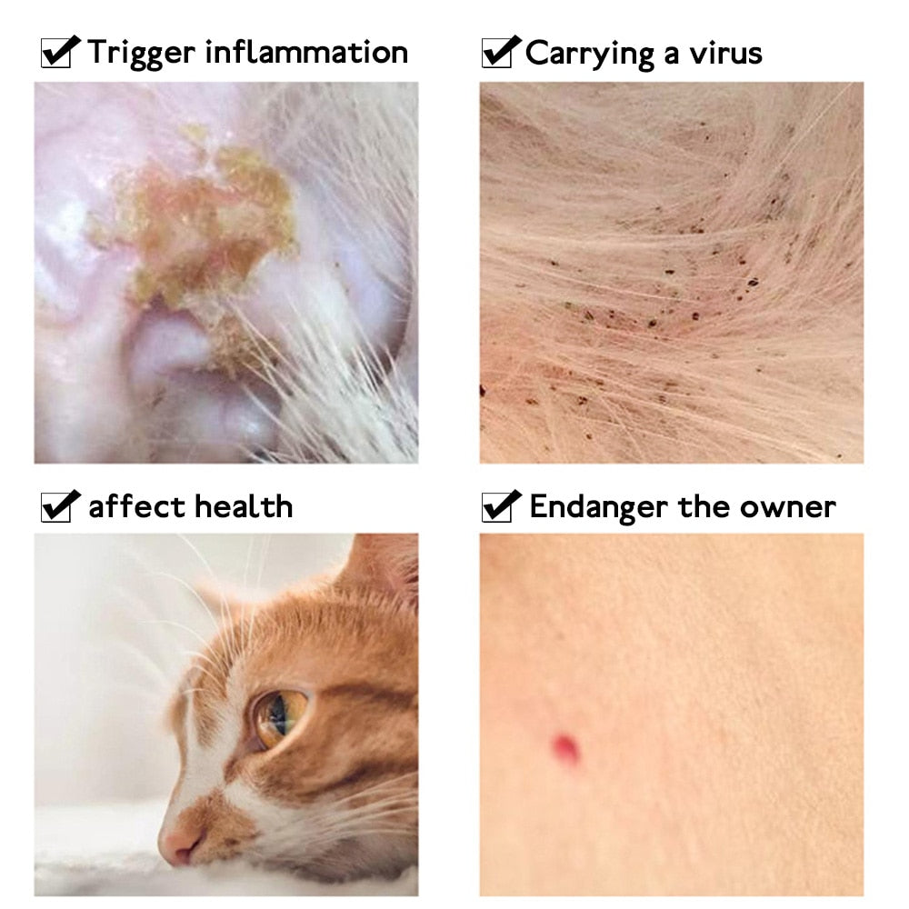 Pet Flea And Tick Collar For Dog