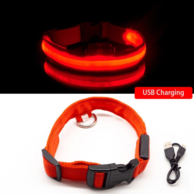 Anti-lost Led Light Collar For Dogs