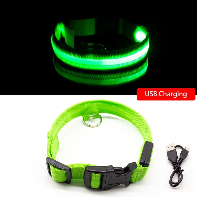 Anti-lost Led Light Collar For Dogs