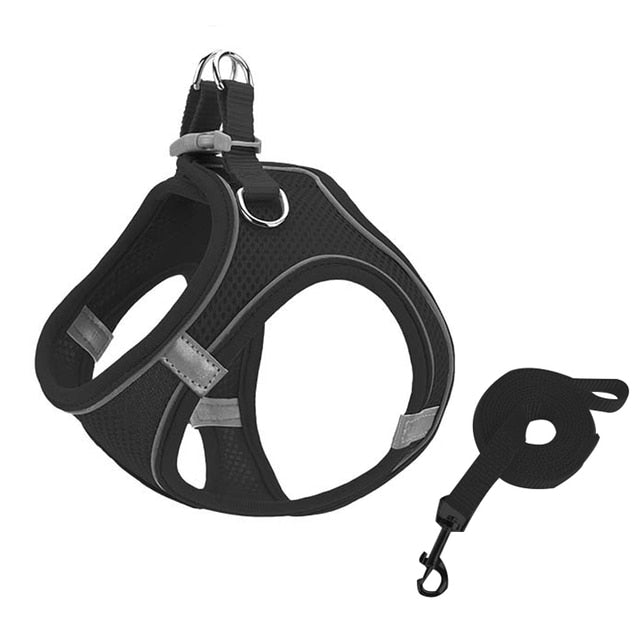 Adjustable Comfort Puppy Harness